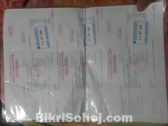 ফেজার গাড়ি কন্ডিশন ফ্রেশ